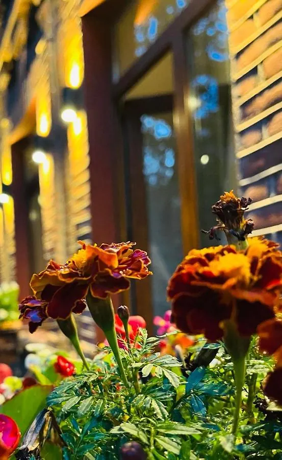 ****  Hotel British House Tbilisi Georgia